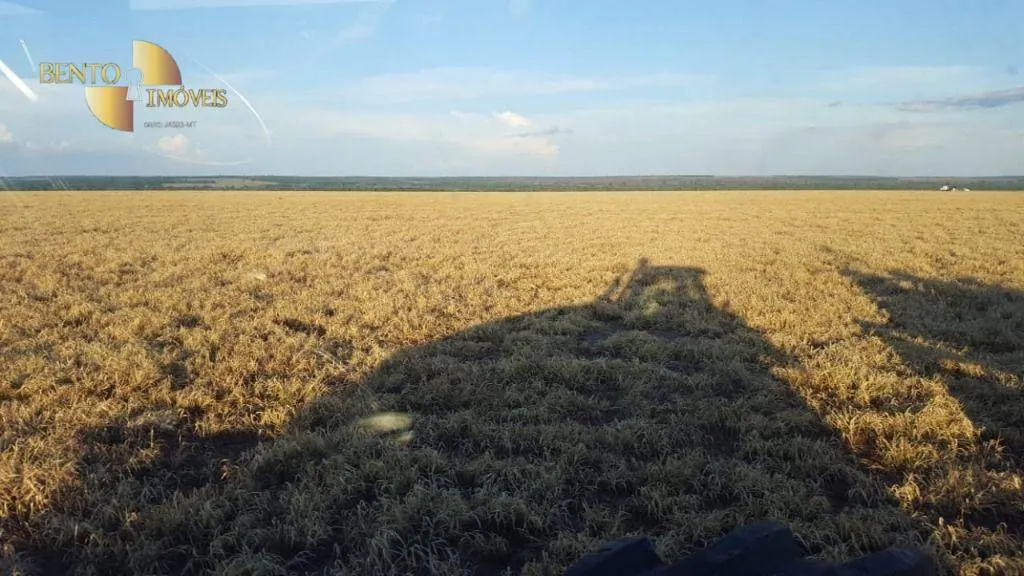 Farm for sale of 8,896 acres in Gaúcha do Norte, MT, Brazil