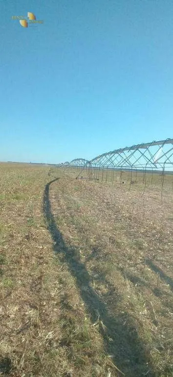Farm for sale of 8,896 acres in Gaúcha do Norte, MT, Brazil