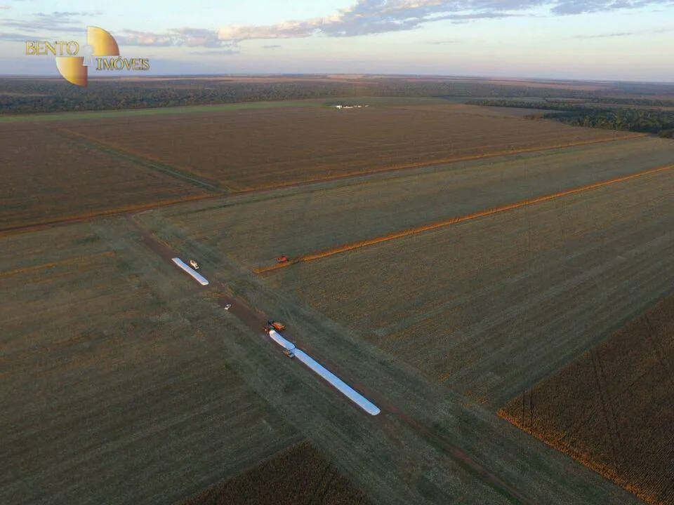 Farm for sale of 8,896 acres in Gaúcha do Norte, MT, Brazil