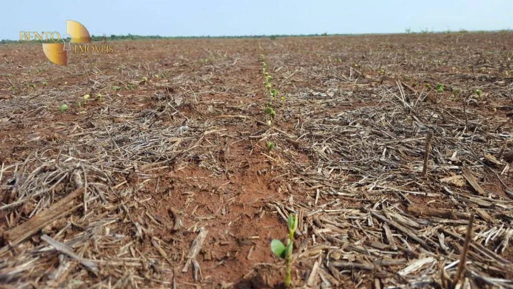 Farm for sale of 8,896 acres in Gaúcha do Norte, MT, Brazil
