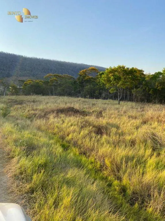 Fazenda à venda de 650 ha em Barão de Melgaço, MT, Brasil