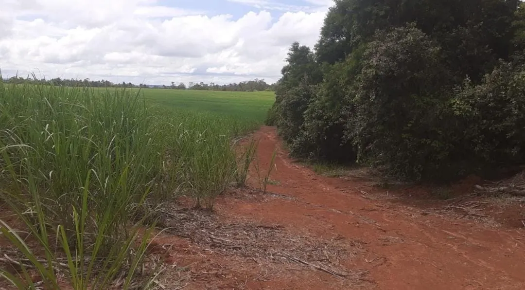 Fazenda à venda e para Arrendar de 307 ha em Tatuí, SP, Brasil