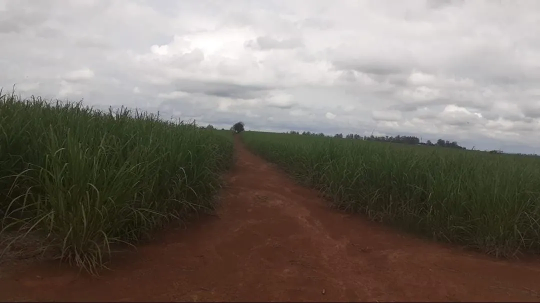 Fazenda à venda e para Arrendar de 307 ha em Tatuí, SP, Brasil