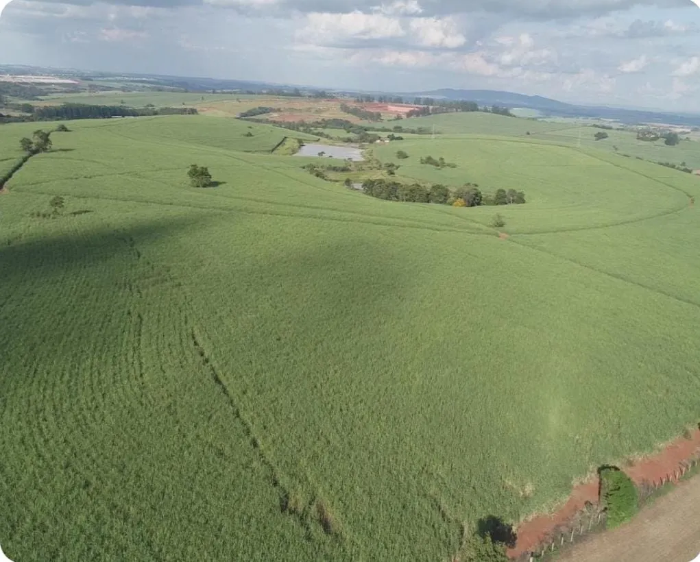 Fazenda à venda e para Arrendar de 307 ha em Tatuí, SP, Brasil