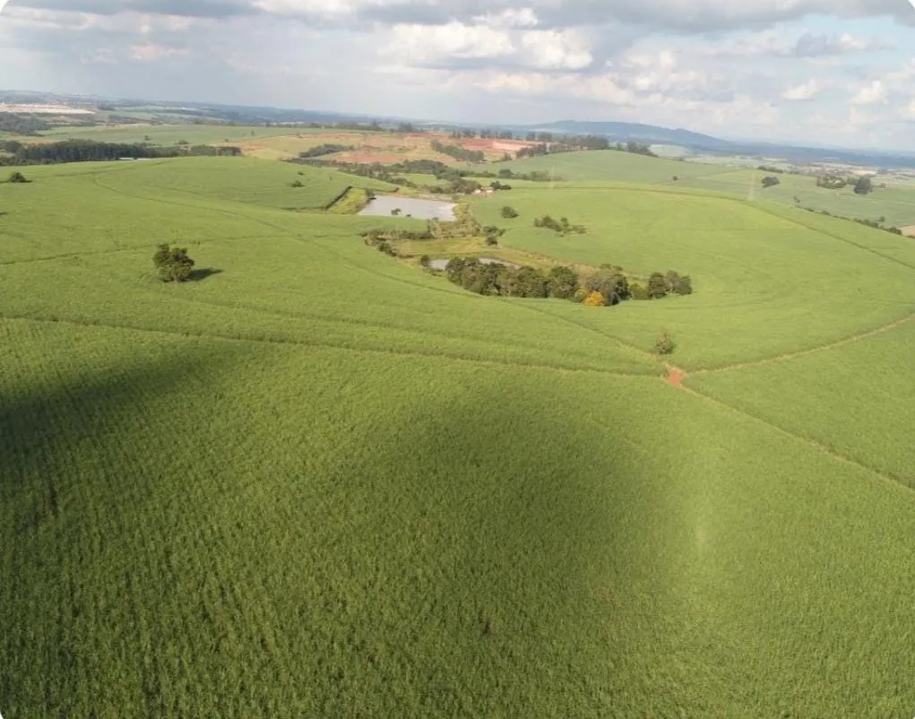 Fazenda à venda e para Arrendar de 307 ha em Tatuí, SP, Brasil