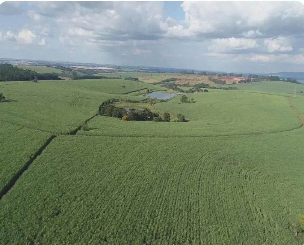 Fazenda à venda e para Arrendar de 307 ha em Tatuí, SP, Brasil