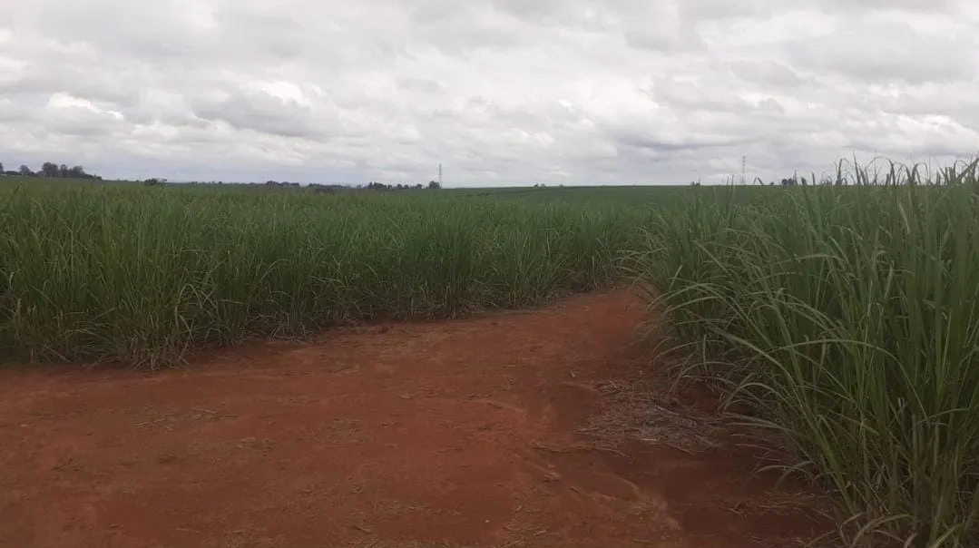 Fazenda à venda e para Arrendar de 307 ha em Tatuí, SP, Brasil