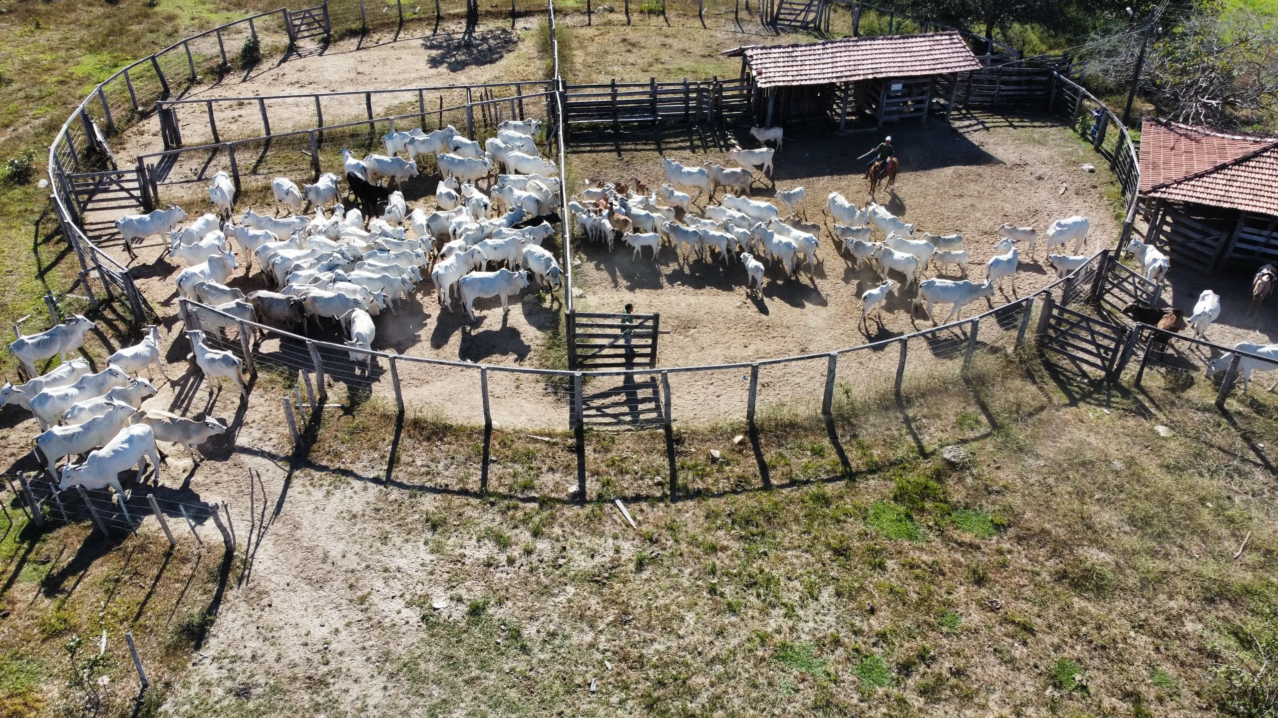 Fazenda à venda de 618 ha em Cavalcante, GO, Brasil