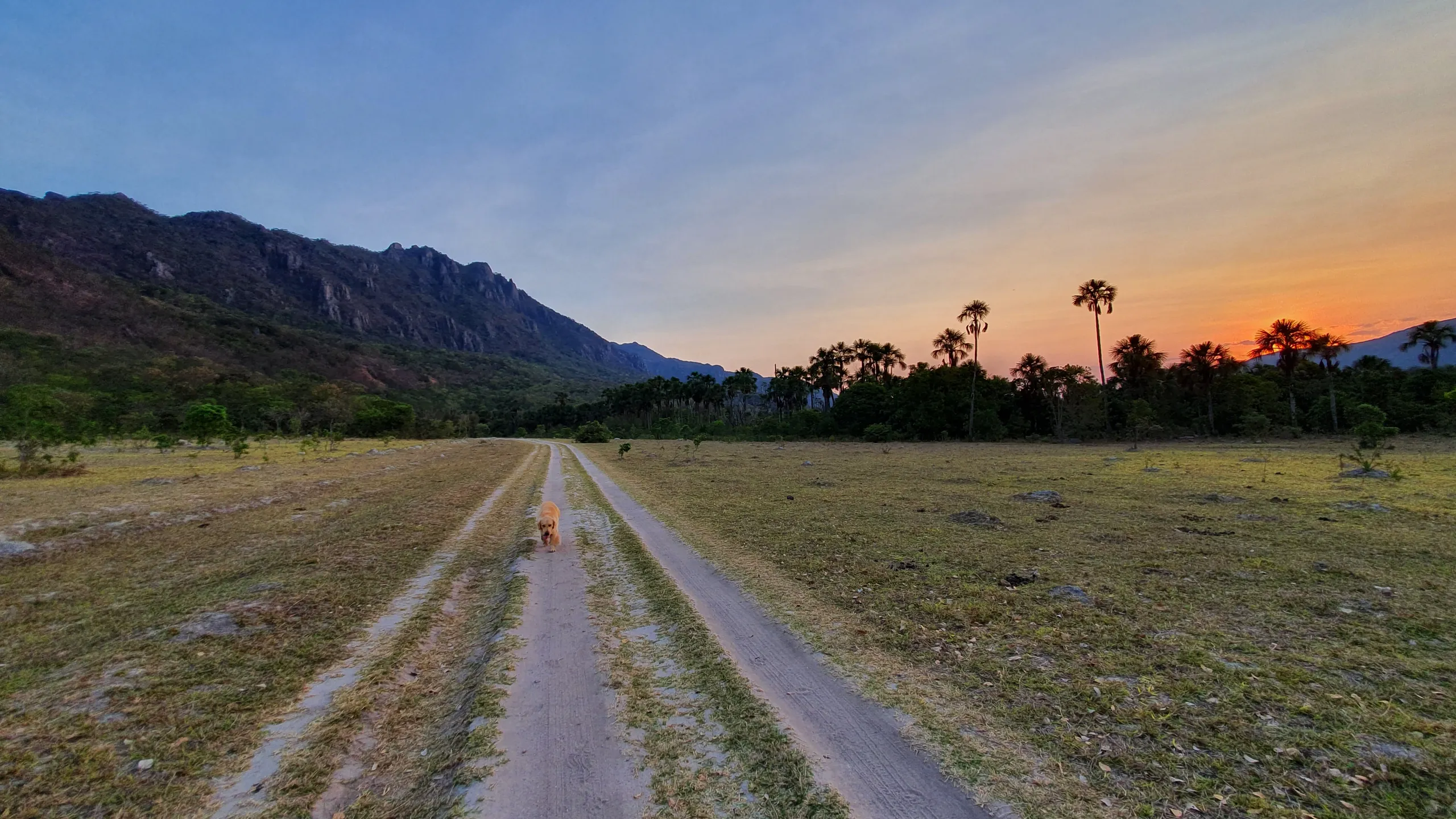 Fazenda à venda de 618 ha em Cavalcante, GO, Brasil