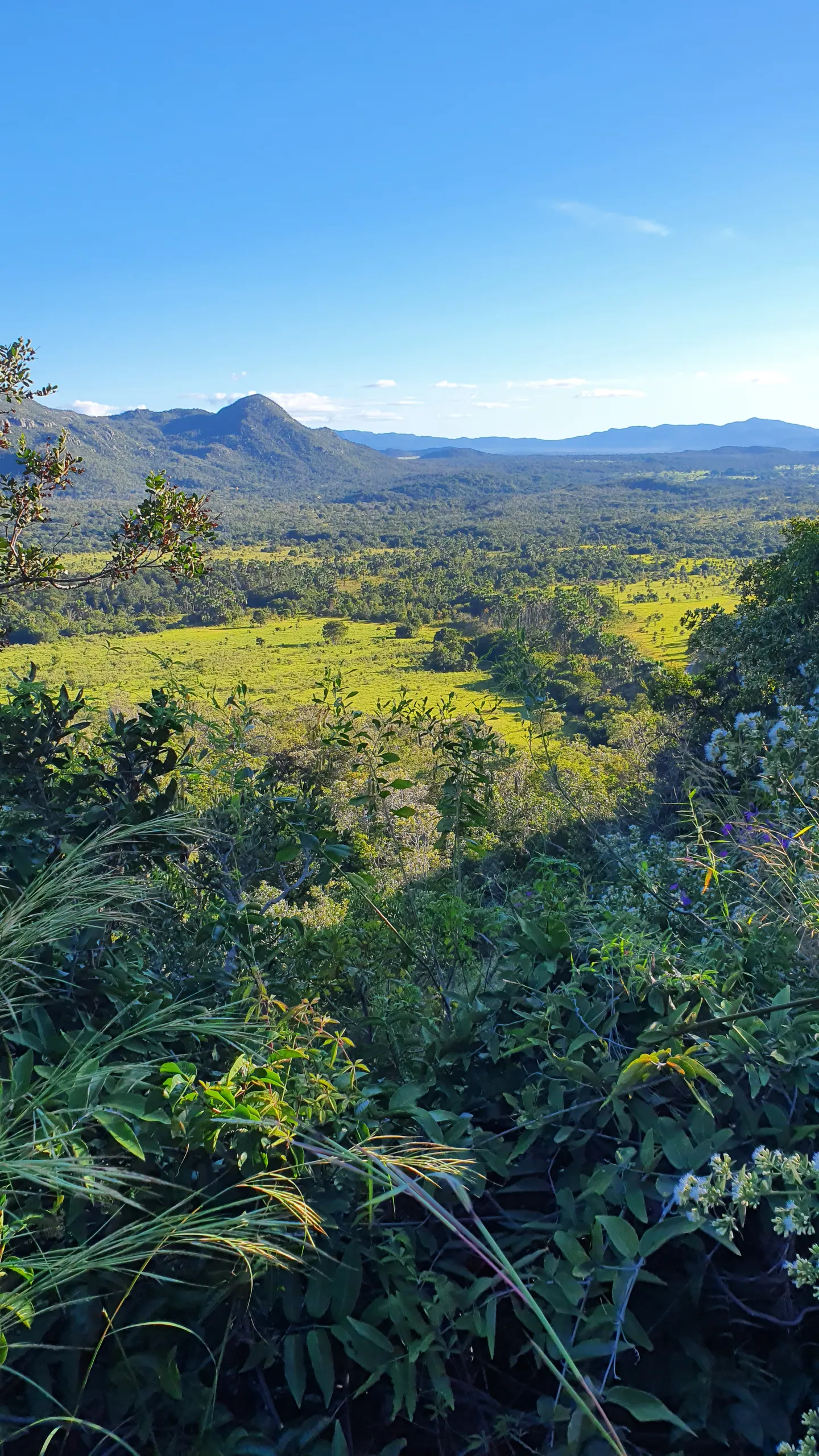 Fazenda à venda de 618 ha em Cavalcante, GO, Brasil