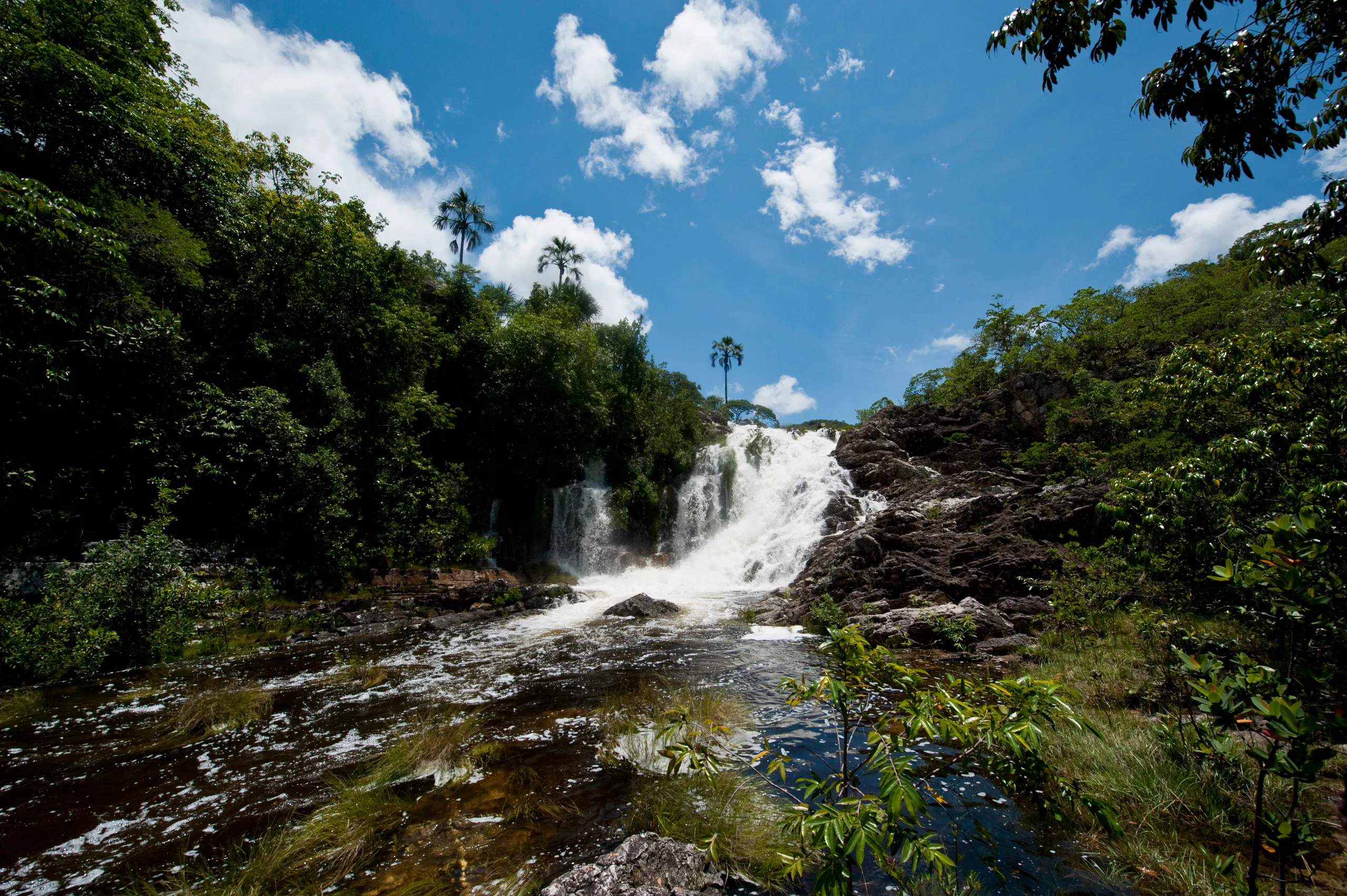 Fazenda à venda de 618 ha em Cavalcante, GO, Brasil