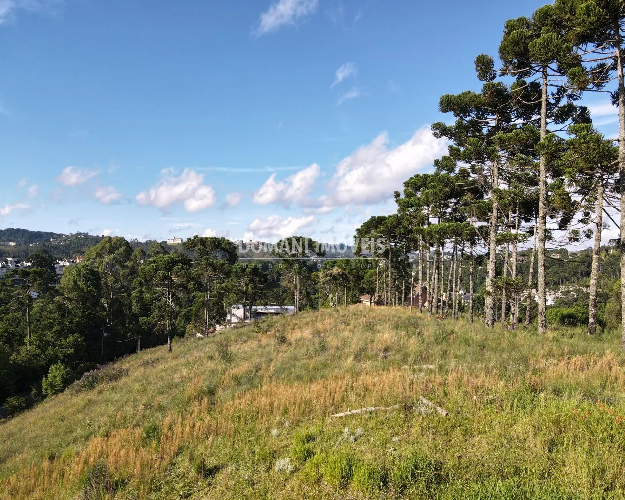 Terreno à venda de 8.900 m² em Campos do Jordão, SP, Brasil