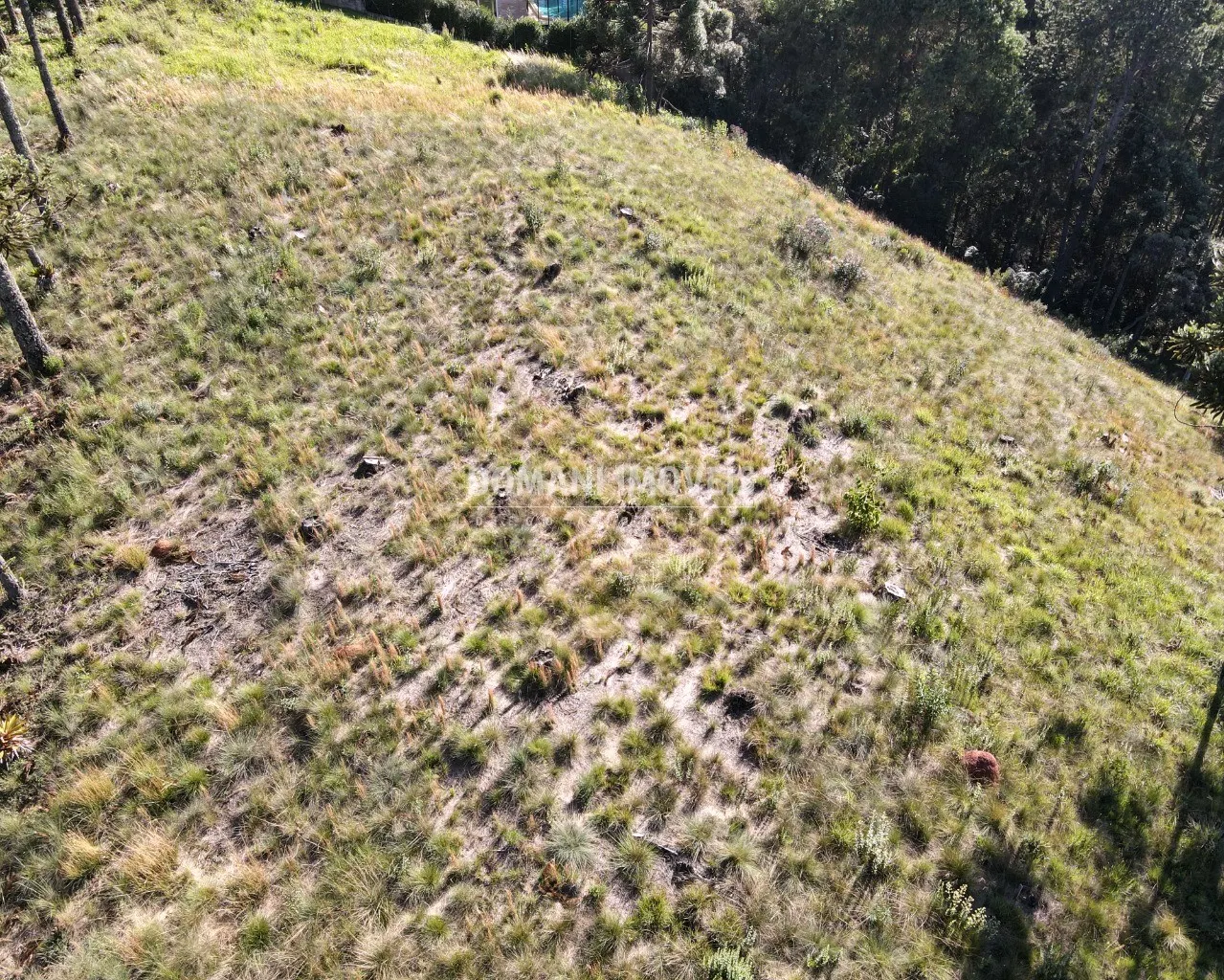 Terreno à venda de 8.900 m² em Campos do Jordão, SP, Brasil
