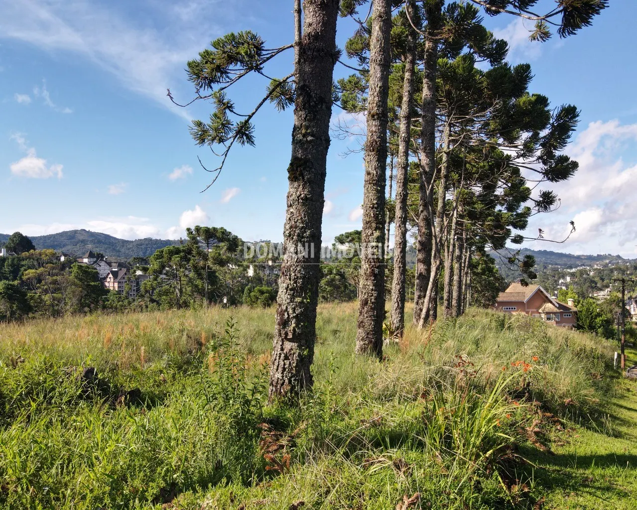 Terreno à venda de 8.900 m² em Campos do Jordão, SP, Brasil