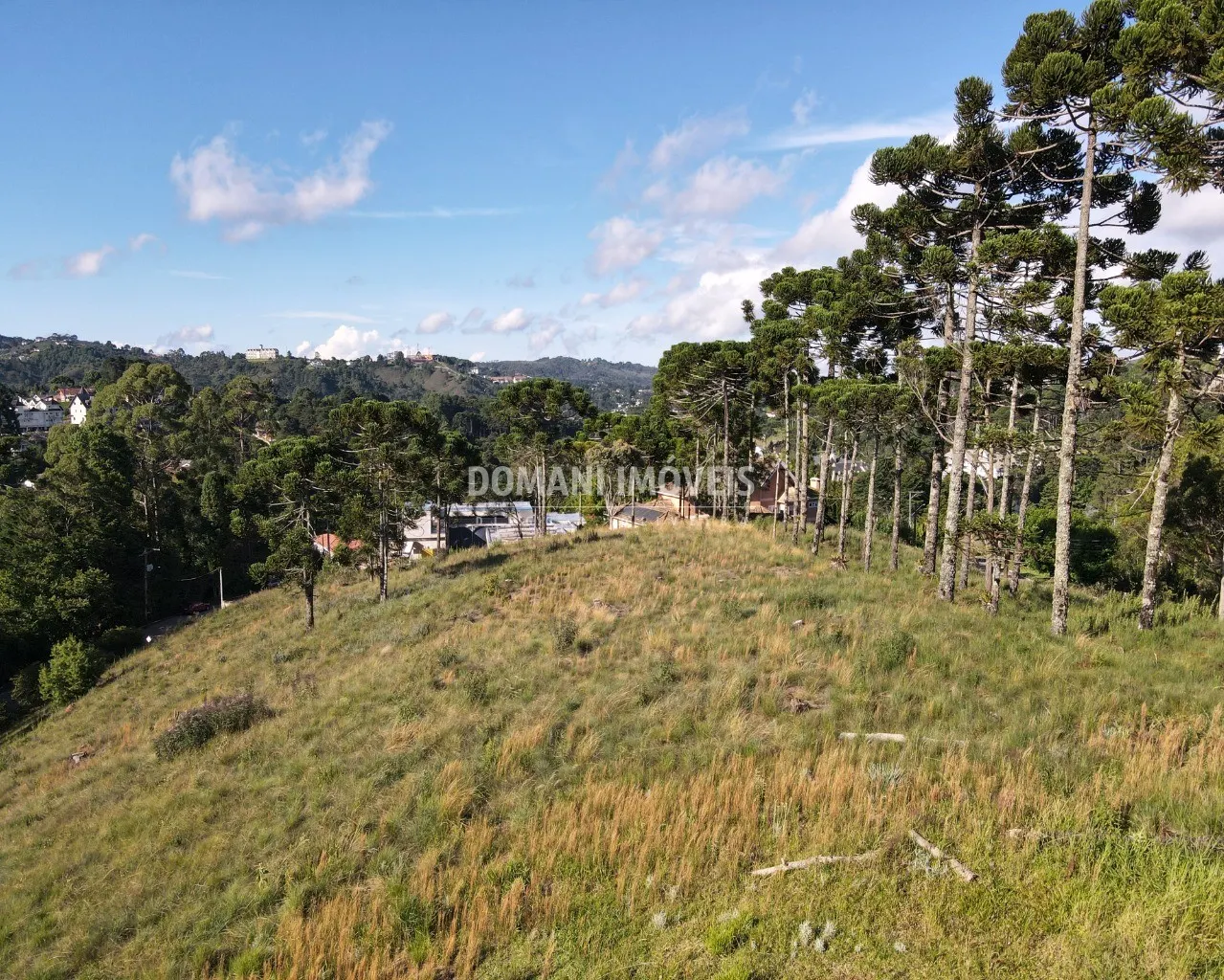 Terreno à venda de 8.900 m² em Campos do Jordão, SP, Brasil
