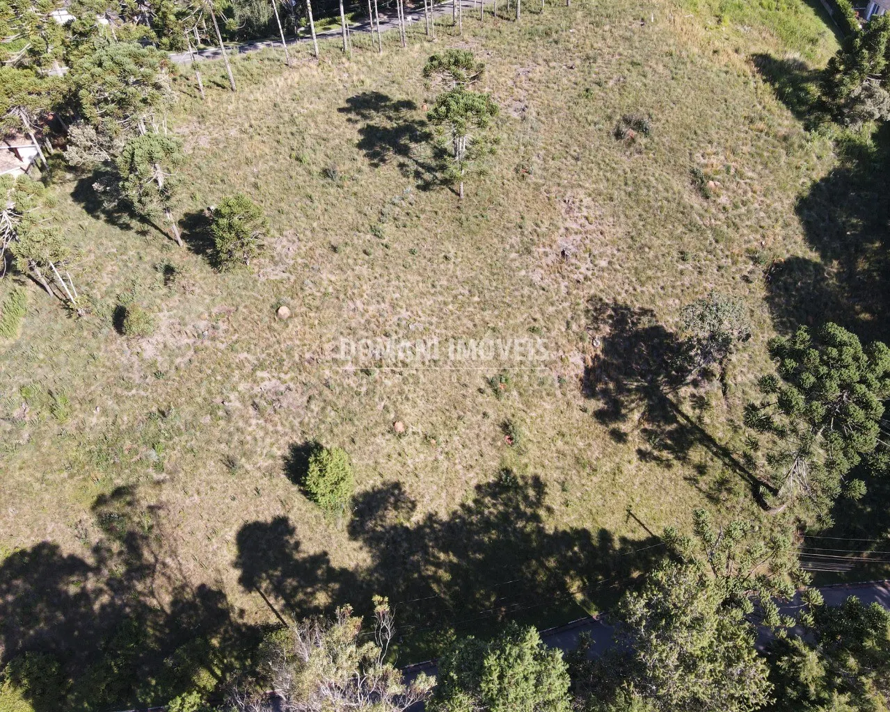 Terreno à venda de 8.900 m² em Campos do Jordão, SP, Brasil