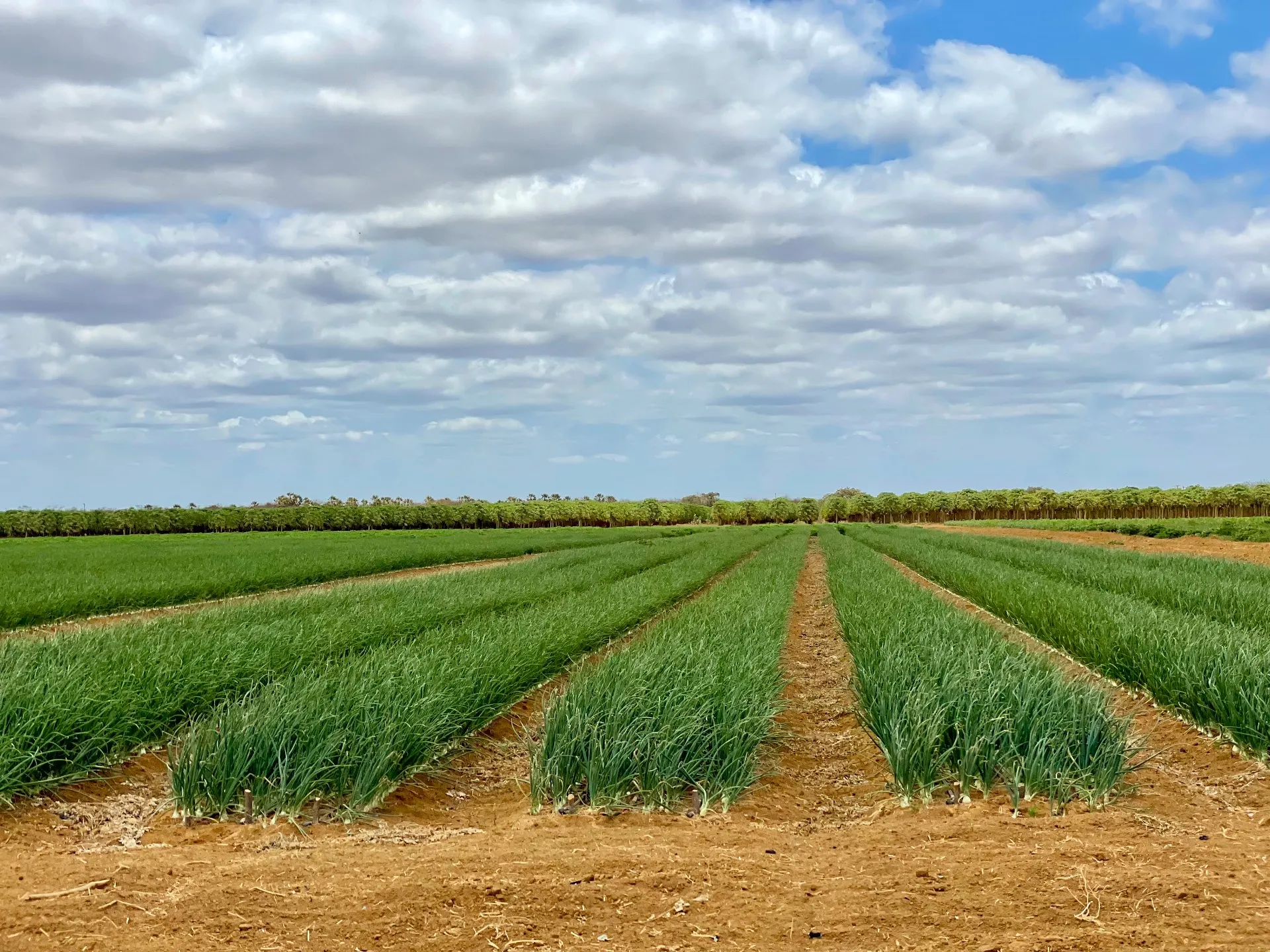 Fazenda à venda de 166 ha em Baraúna, RN, Brasil