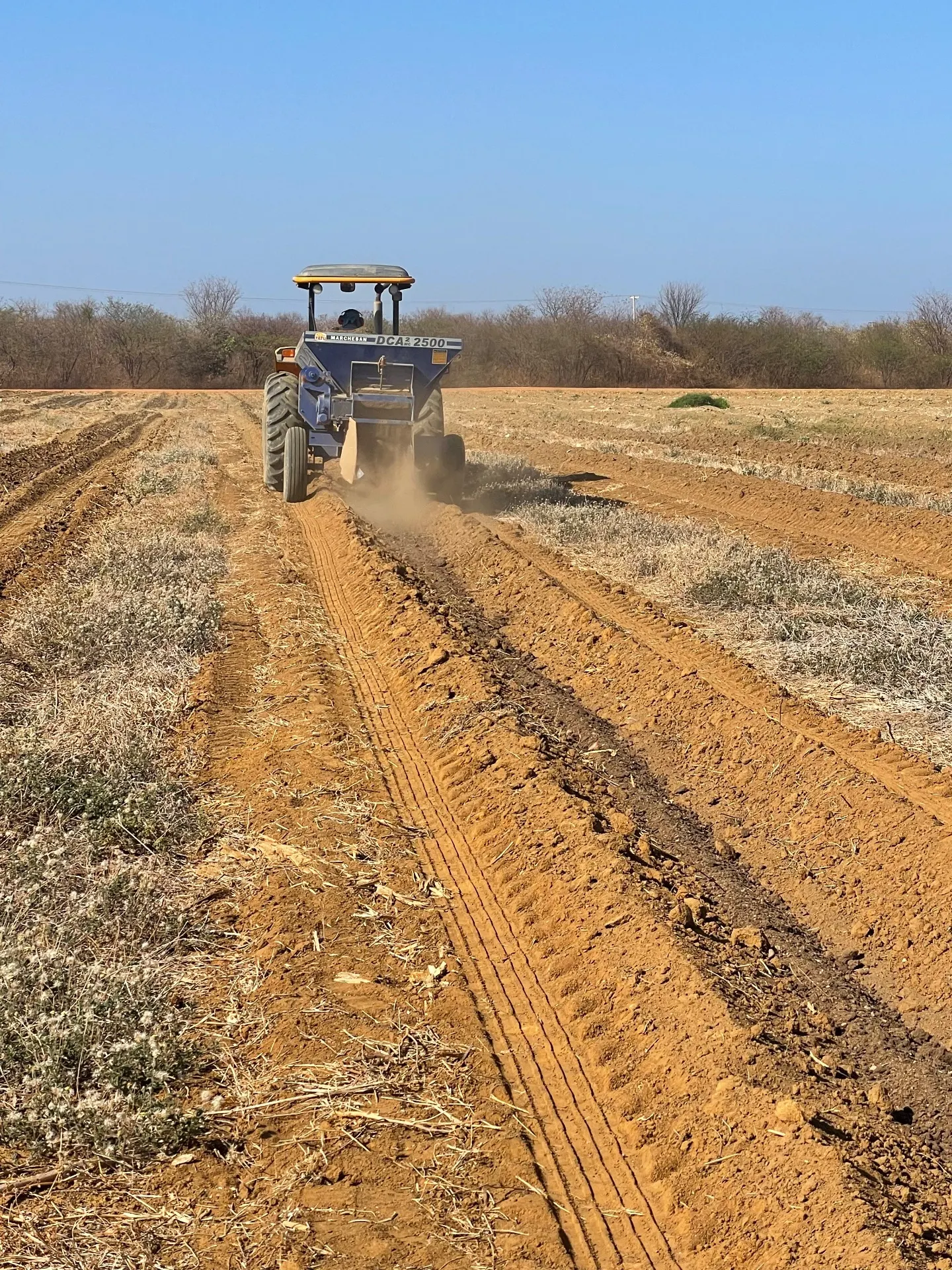 Fazenda à venda de 166 ha em Baraúna, RN, Brasil