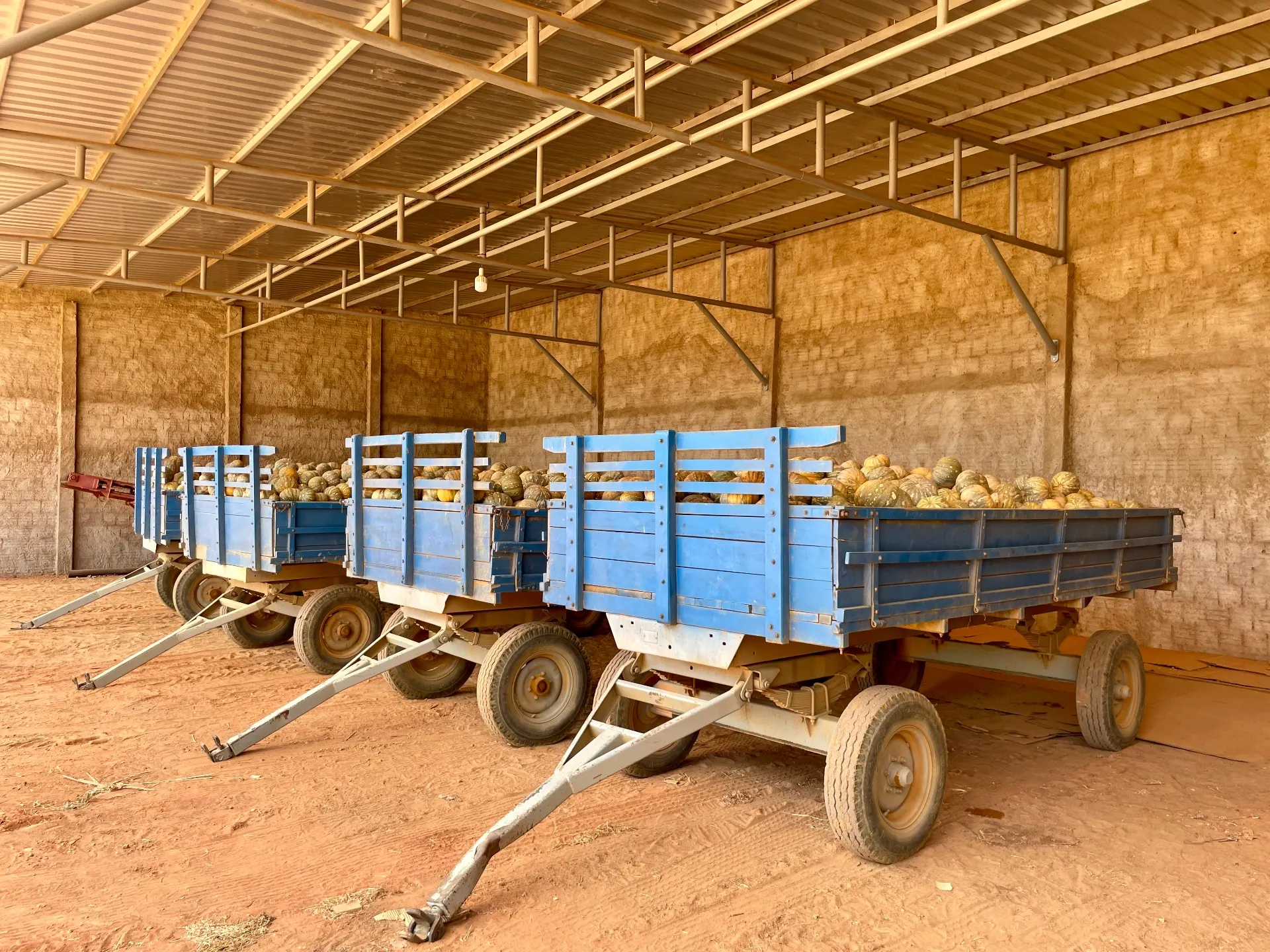 Fazenda à venda de 166 ha em Baraúna, RN, Brasil