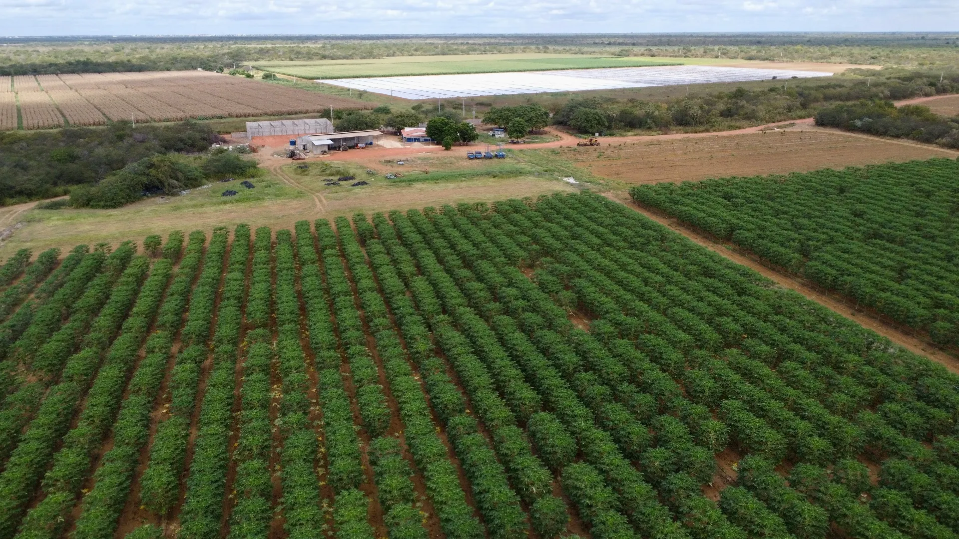 Fazenda à venda de 166 ha em Baraúna, RN, Brasil