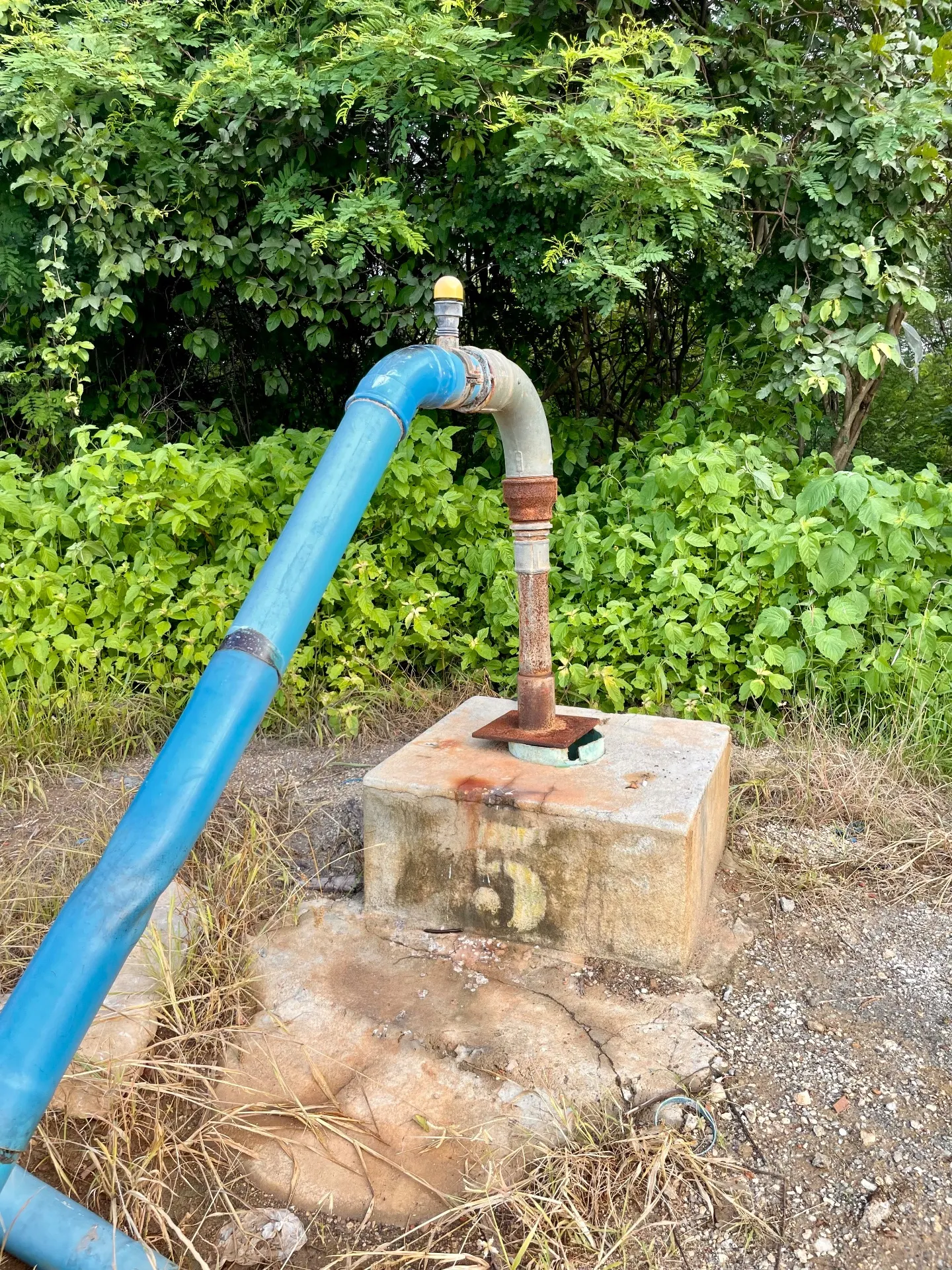 Fazenda à venda de 166 ha em Baraúna, RN, Brasil