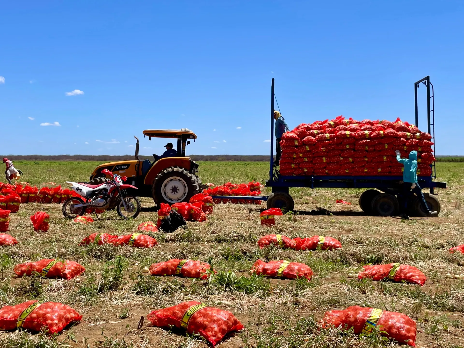 Fazenda à venda de 166 ha em Baraúna, RN, Brasil
