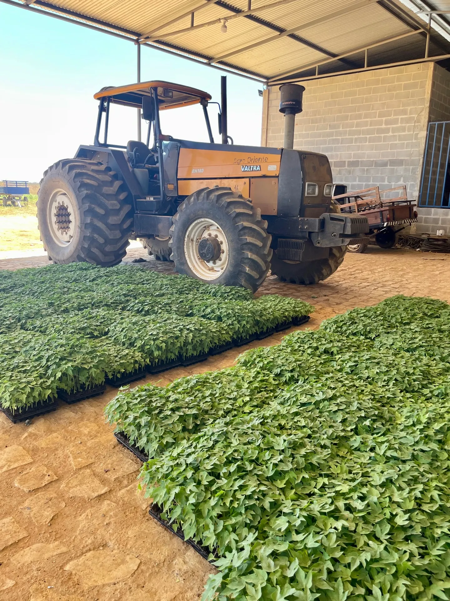 Fazenda à venda de 166 ha em Baraúna, RN, Brasil