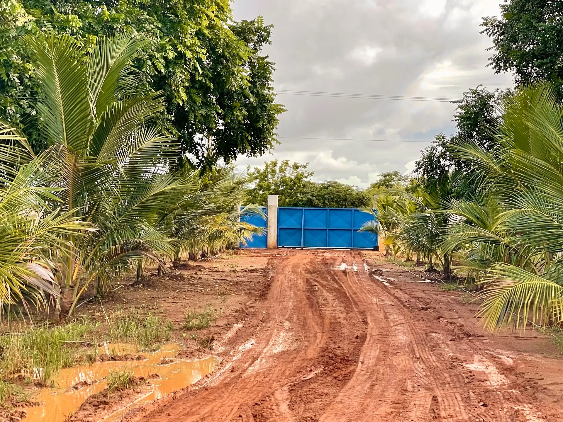 Fazenda à venda de 166 ha em Baraúna, RN, Brasil