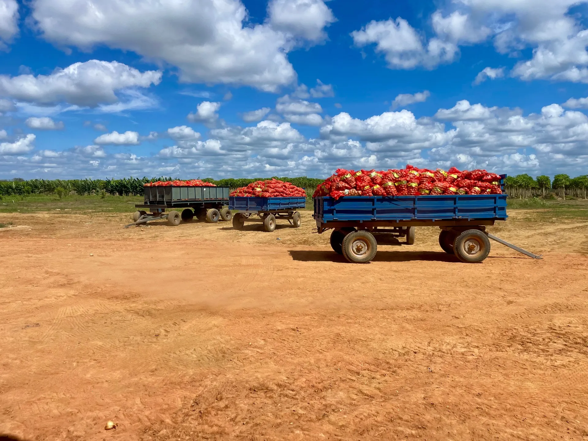 Fazenda à venda de 166 ha em Baraúna, RN, Brasil