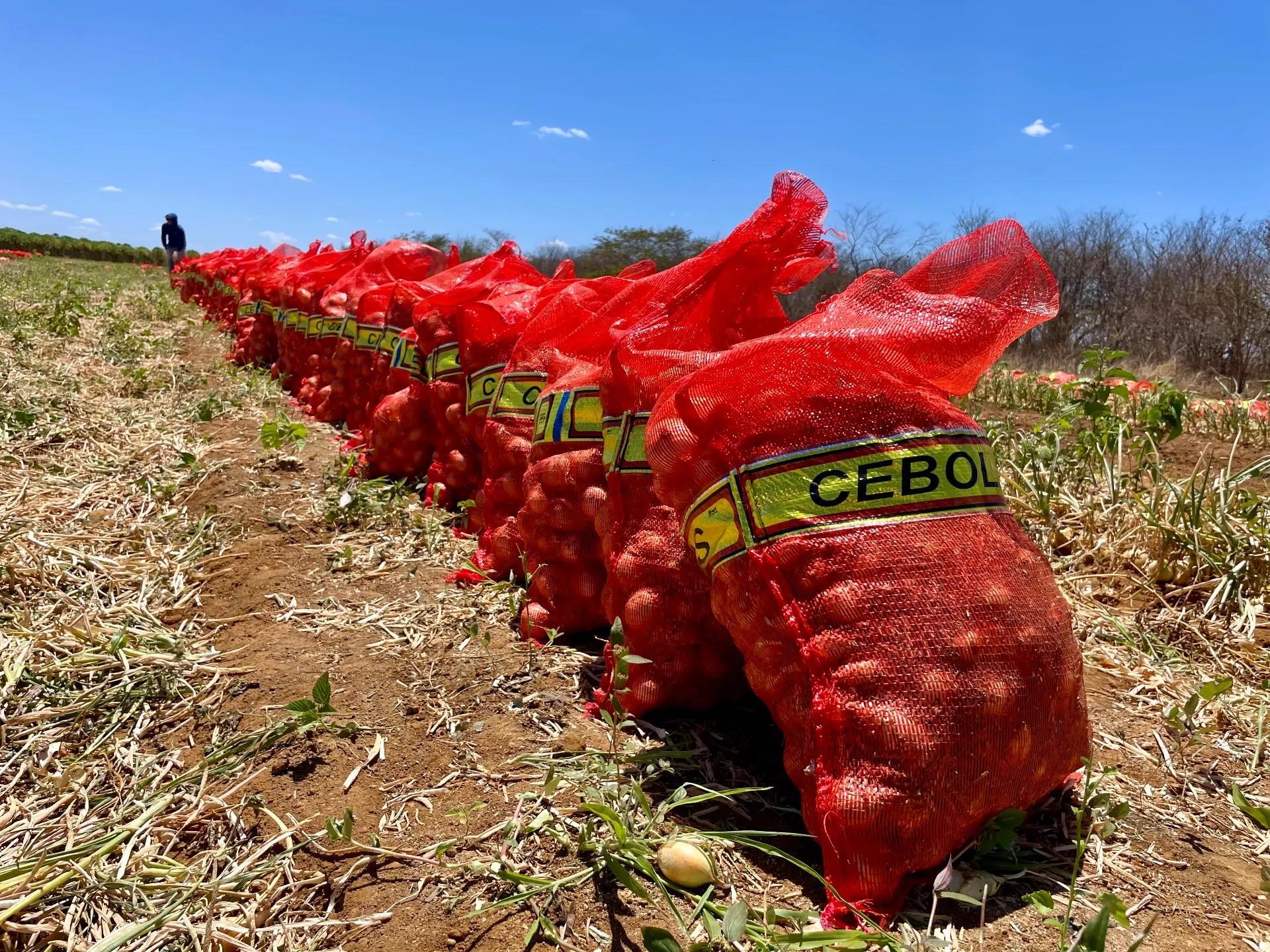 Fazenda à venda de 166 ha em Baraúna, RN, Brasil