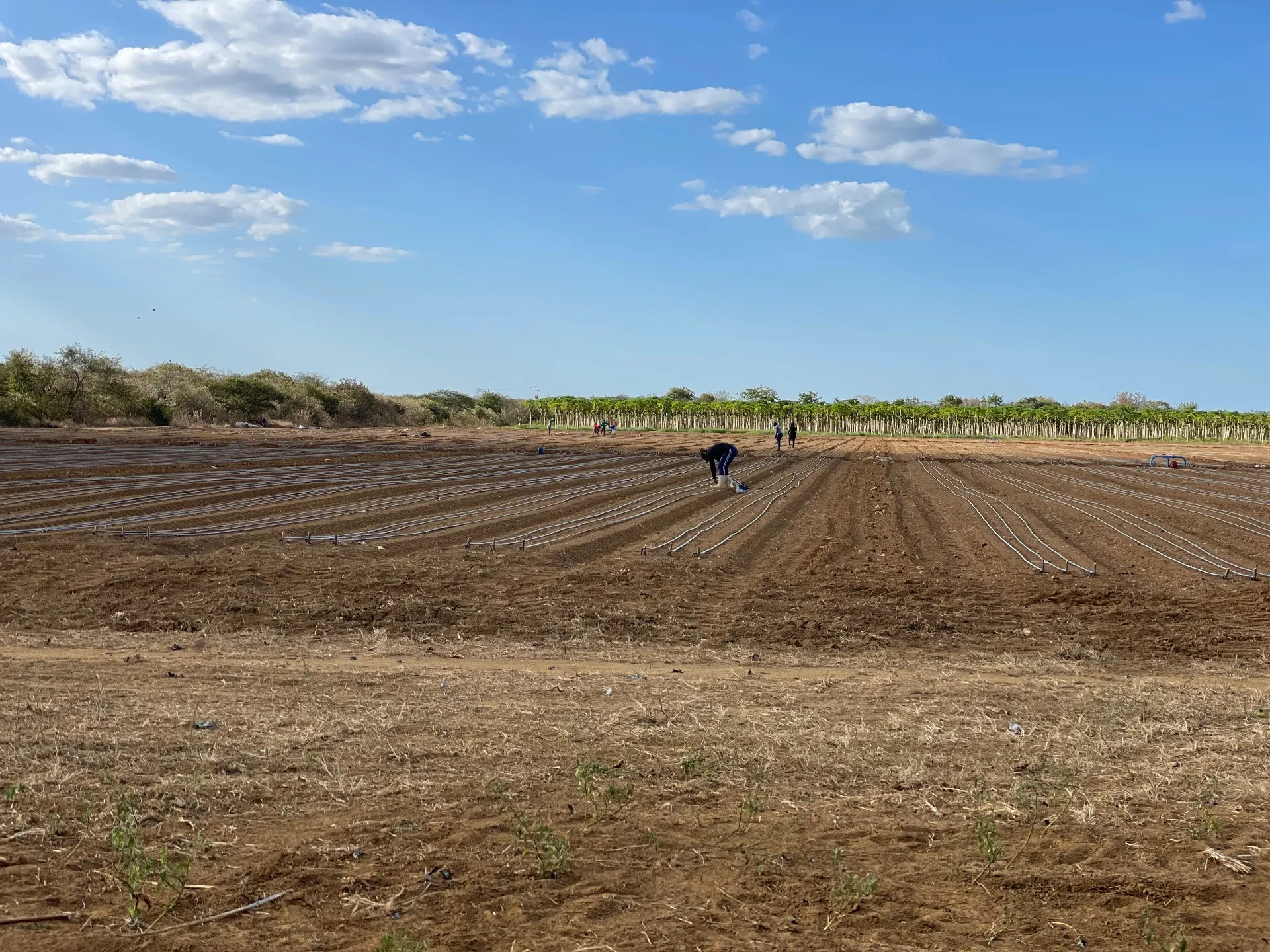 Fazenda à venda de 166 ha em Baraúna, RN, Brasil