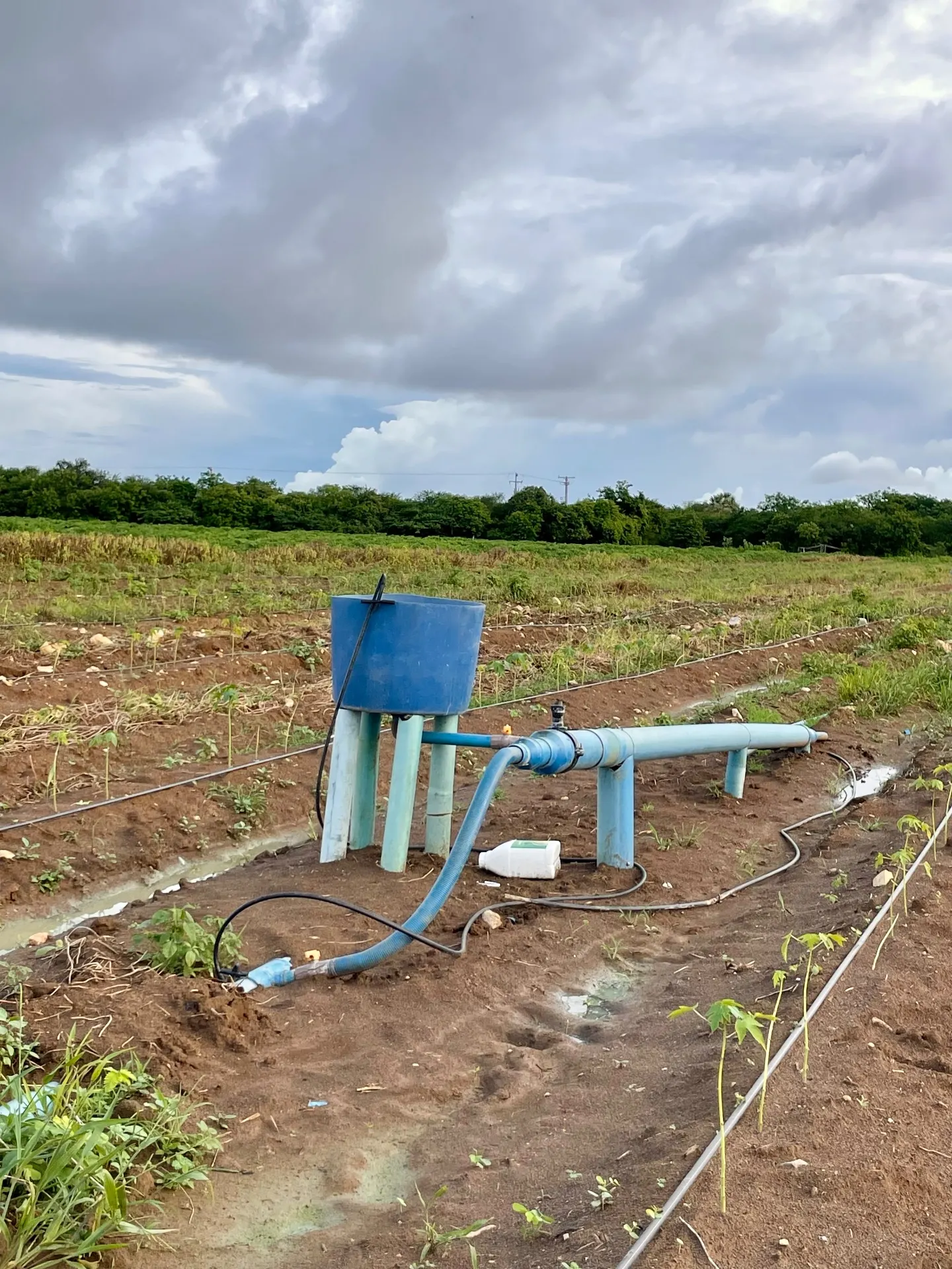 Fazenda à venda de 166 ha em Baraúna, RN, Brasil
