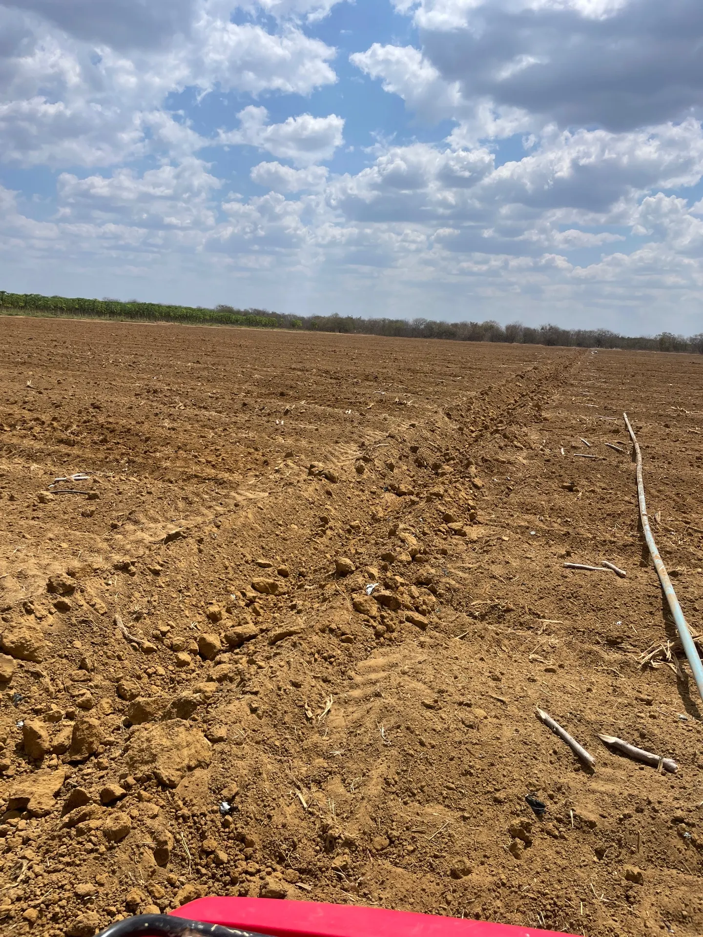 Fazenda à venda de 166 ha em Baraúna, RN, Brasil