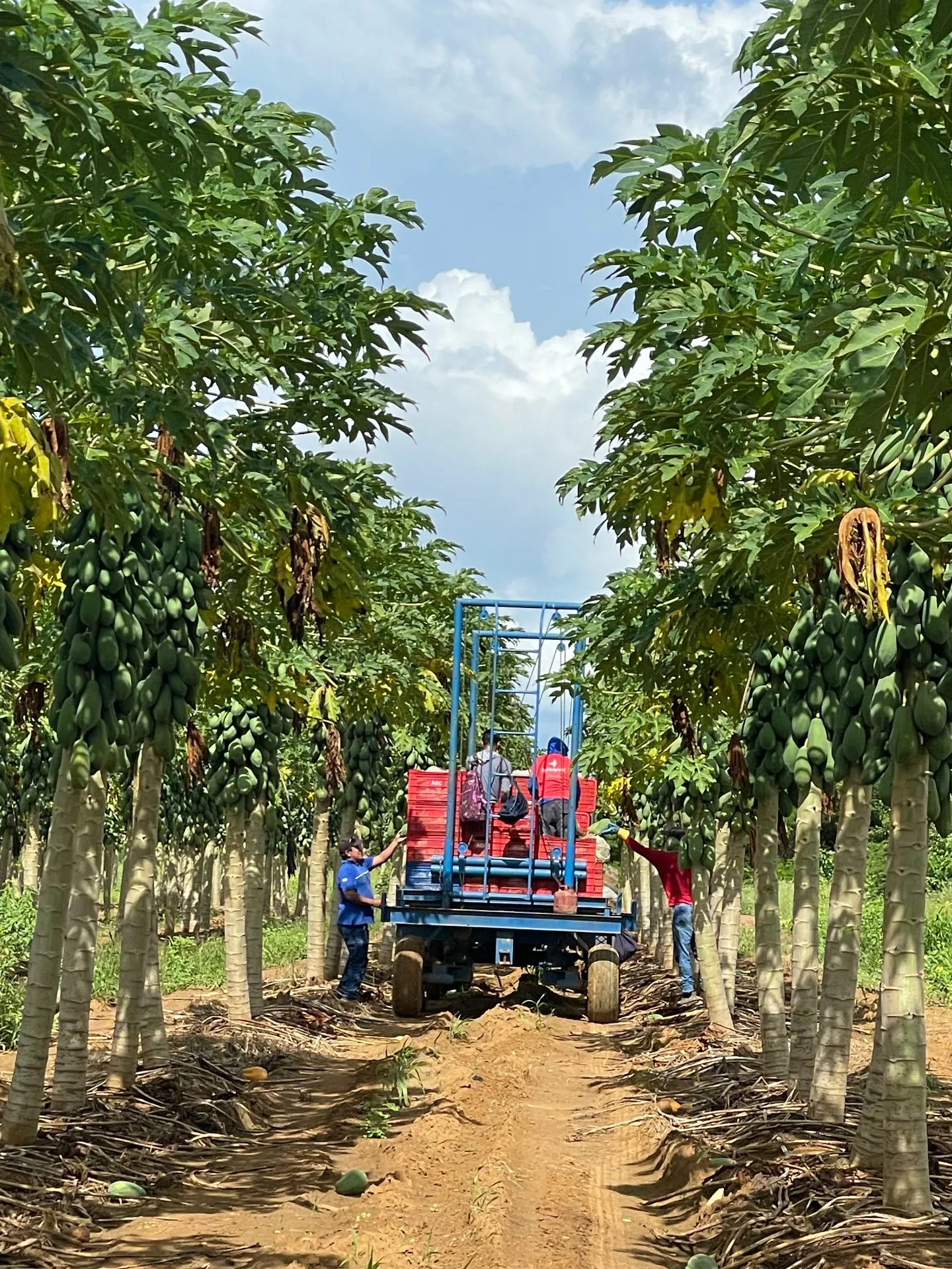 Fazenda à venda de 166 ha em Baraúna, RN, Brasil