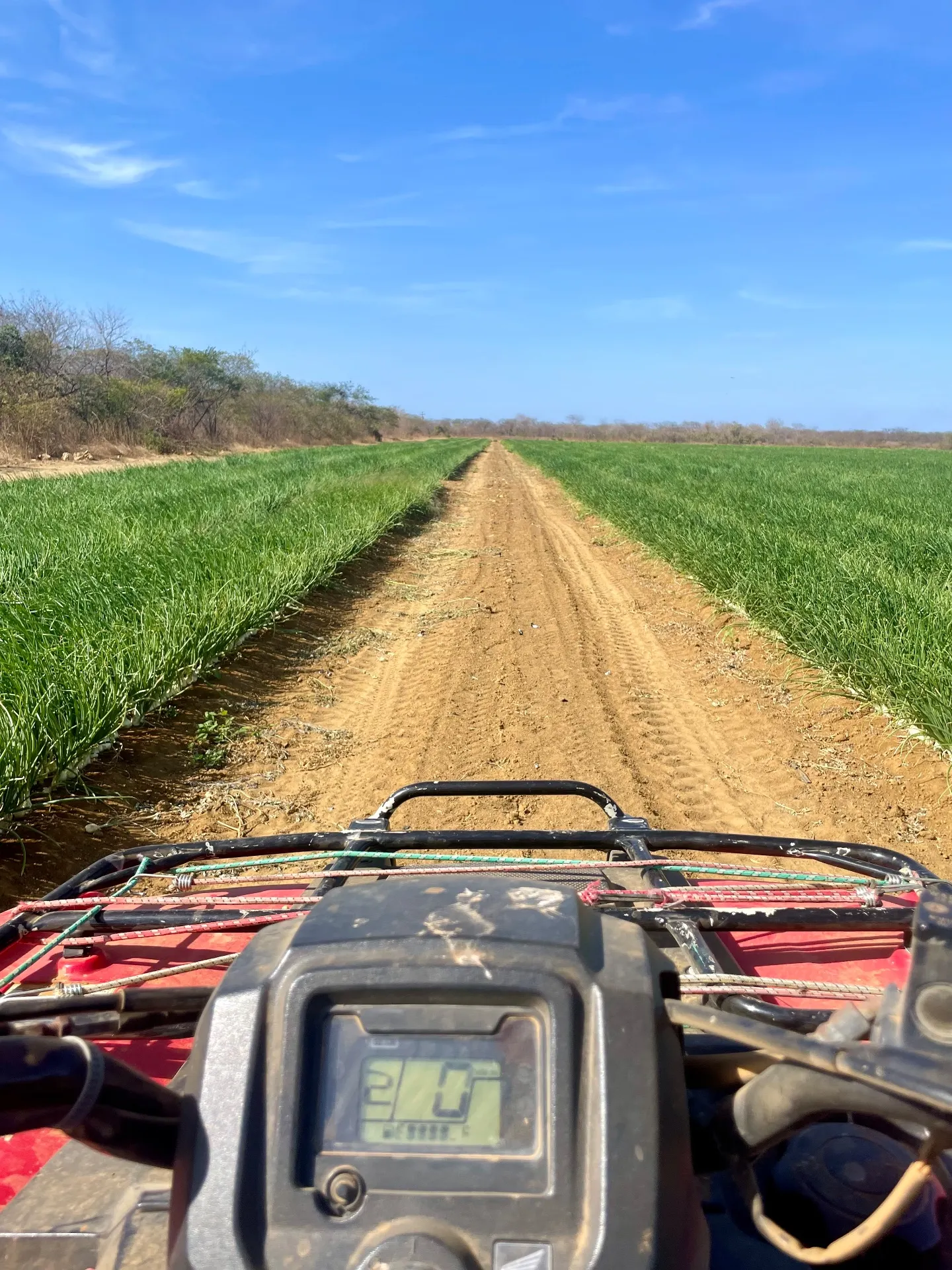 Fazenda à venda de 166 ha em Baraúna, RN, Brasil