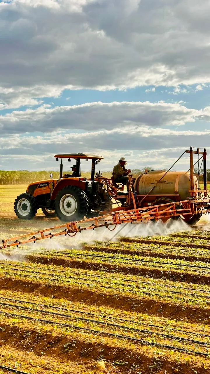 Fazenda à venda de 166 ha em Baraúna, RN, Brasil