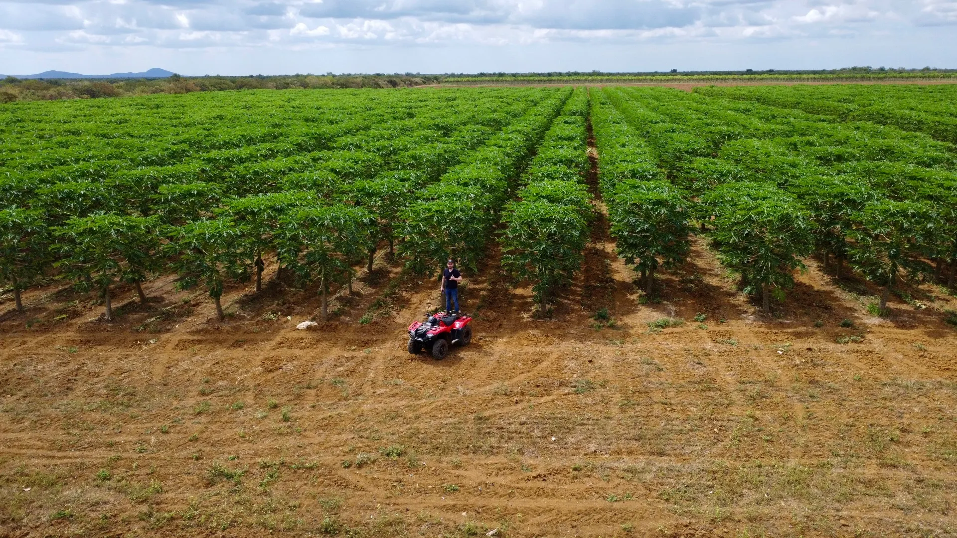 Fazenda à venda de 166 ha em Baraúna, RN, Brasil