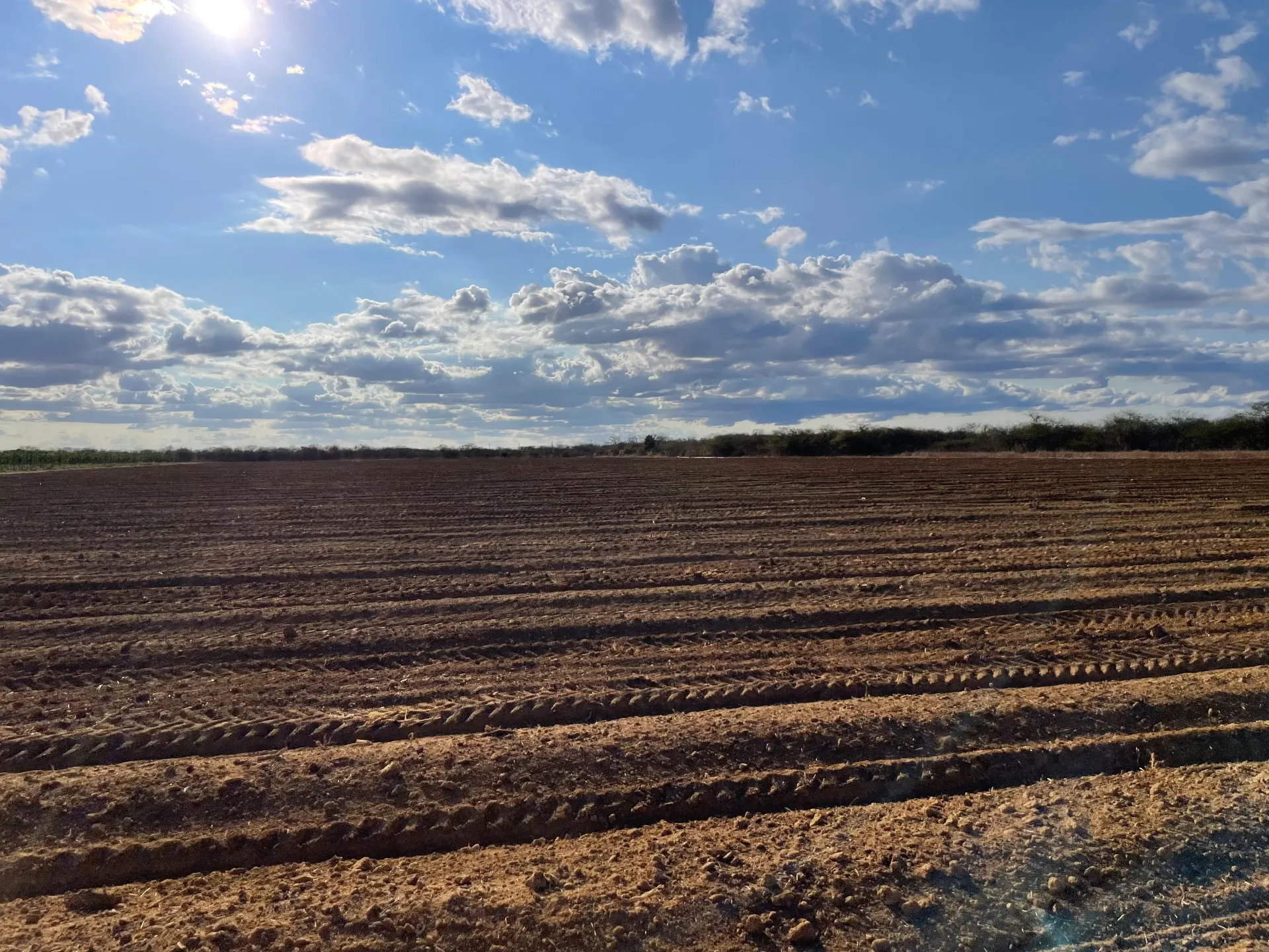 Fazenda à venda de 166 ha em Baraúna, RN, Brasil