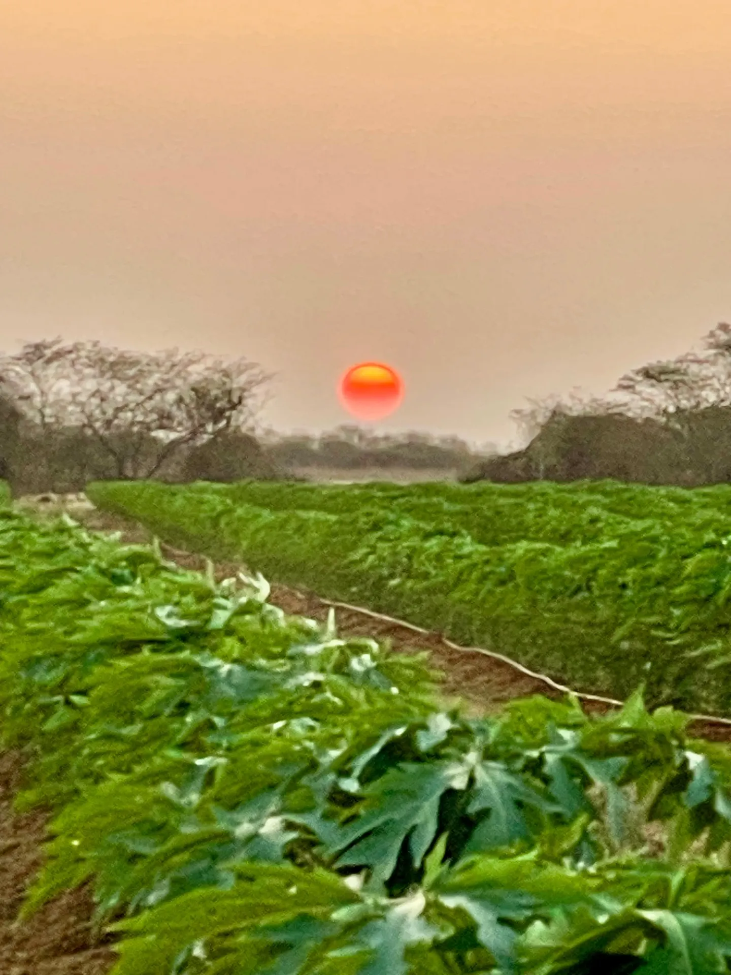 Fazenda à venda de 166 ha em Baraúna, RN, Brasil