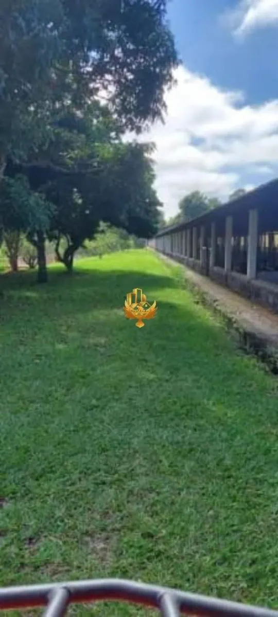 Sítio à venda de 30 ha em Santa Isabel, SP, Brasil