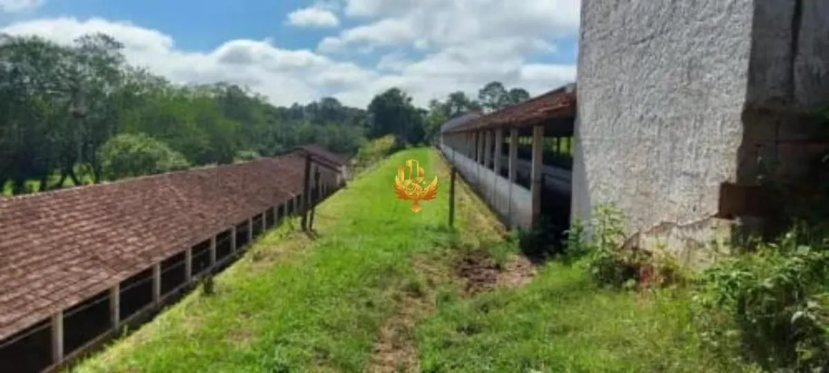 Sítio à venda de 30 ha em Santa Isabel, SP, Brasil