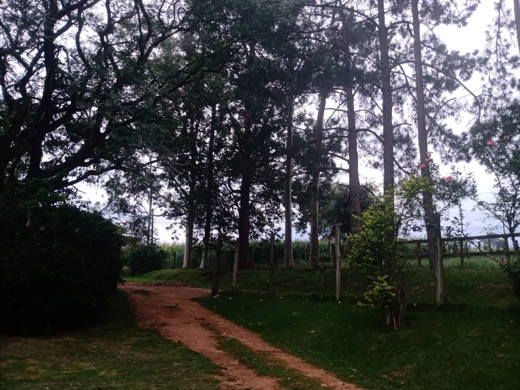 Sítio à venda de 12 ha em Itapetininga, SP, Brasil