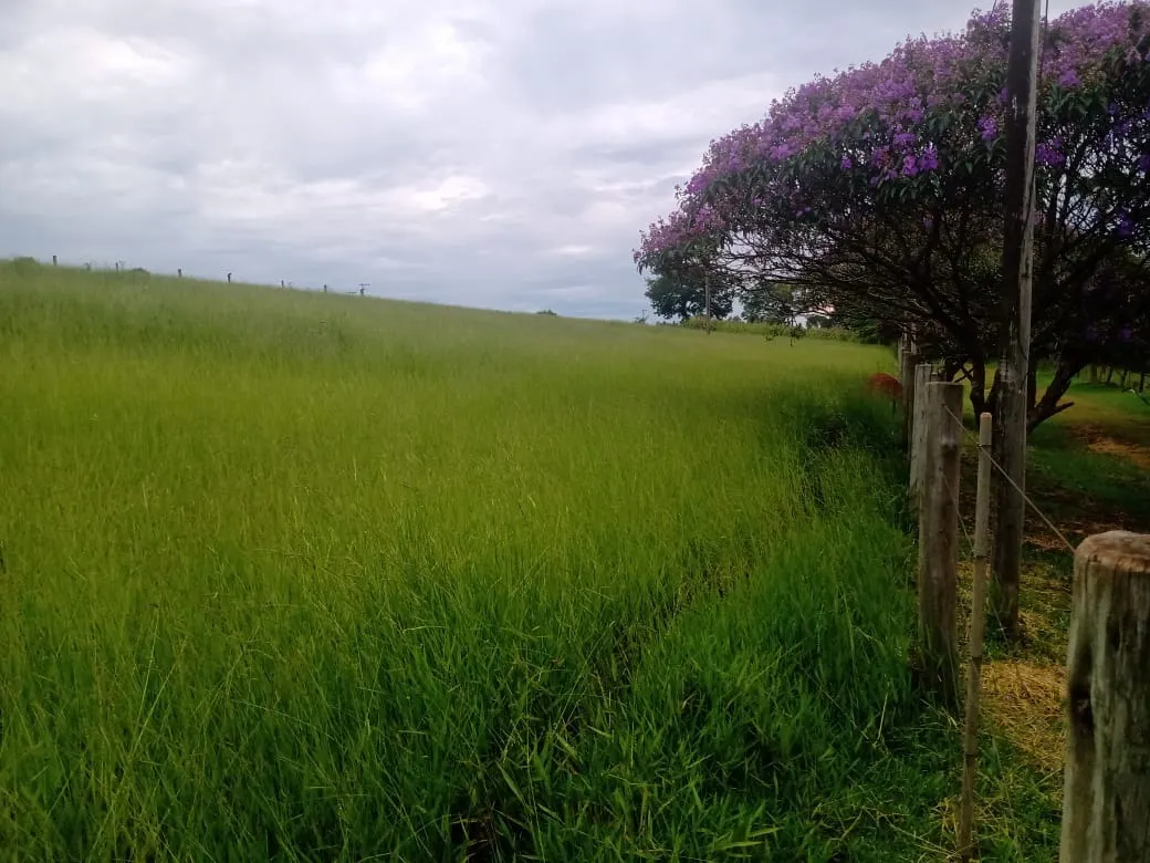 Sítio à venda de 12 ha em Itapetininga, SP, Brasil