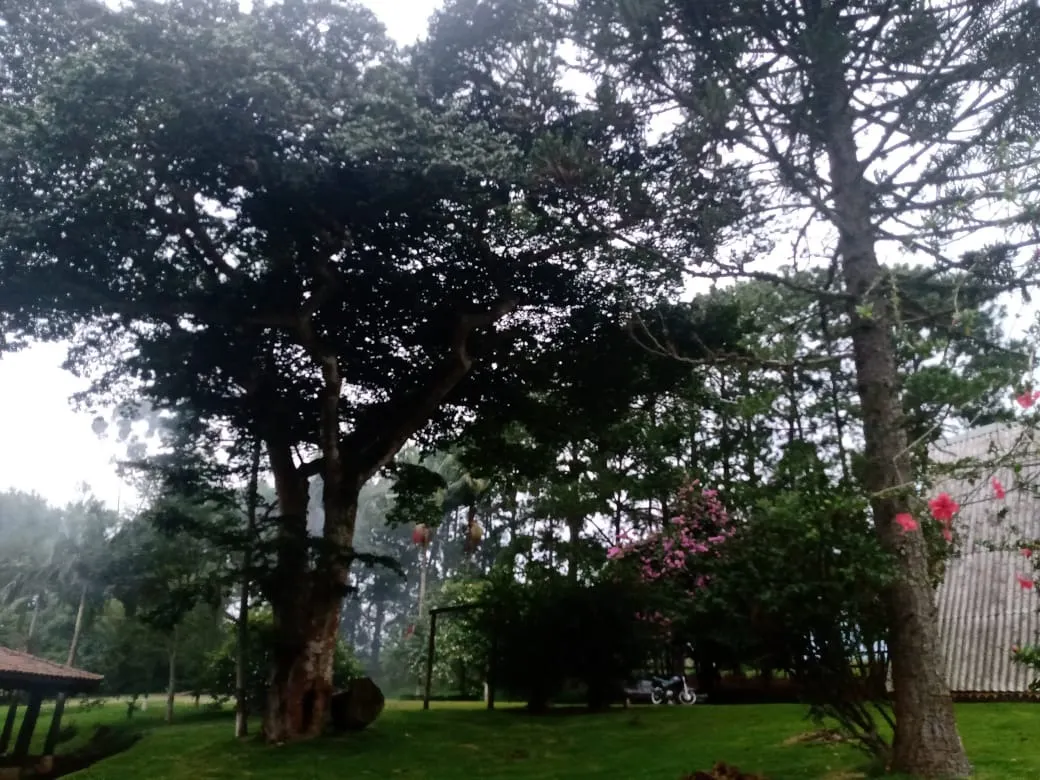 Sítio à venda de 12 ha em Itapetininga, SP, Brasil