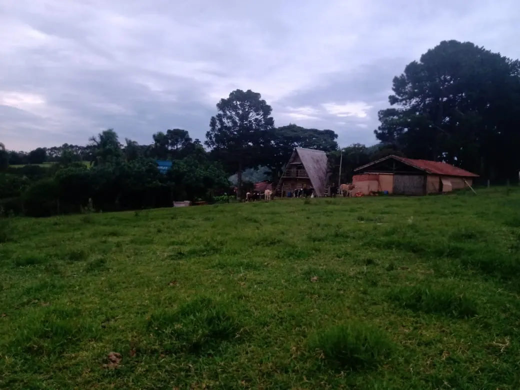 Sítio à venda de 12 ha em Itapetininga, SP, Brasil