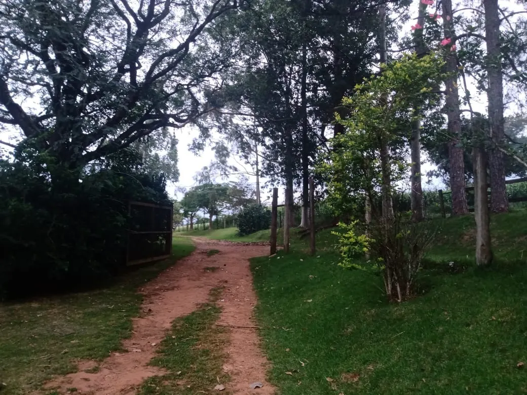 Sítio à venda de 12 ha em Itapetininga, SP, Brasil