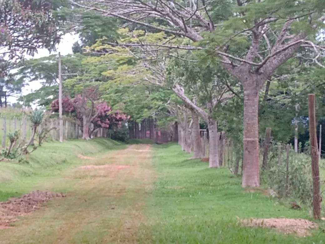 Sítio à venda de 12 ha em Itapetininga, SP, Brasil