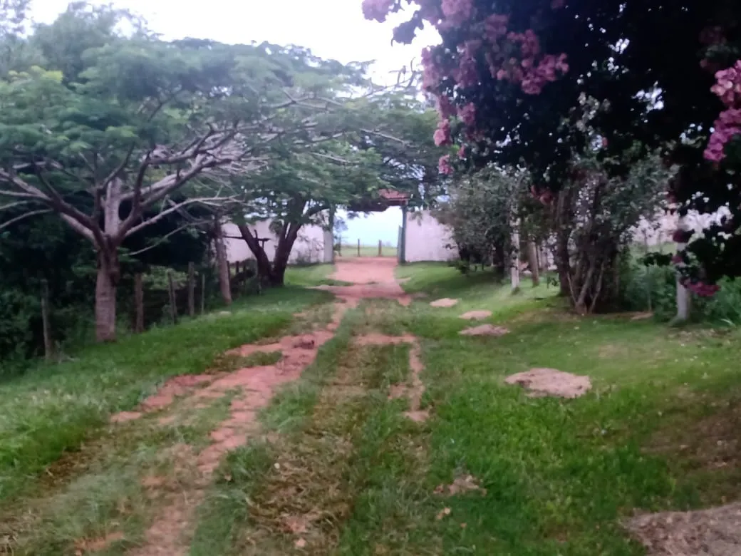 Sítio à venda de 12 ha em Itapetininga, SP, Brasil