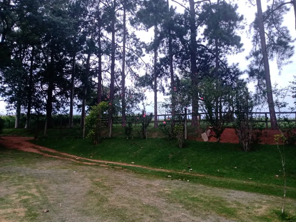 Sítio à venda de 12 ha em Itapetininga, SP, Brasil