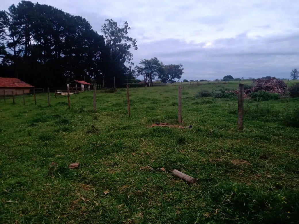Sítio à venda de 12 ha em Itapetininga, SP, Brasil